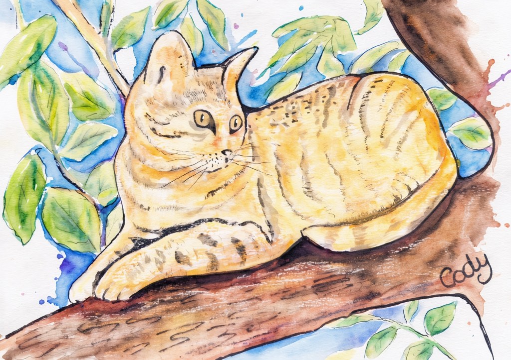 Cat on a branch